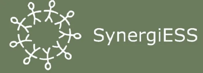 Synergiess